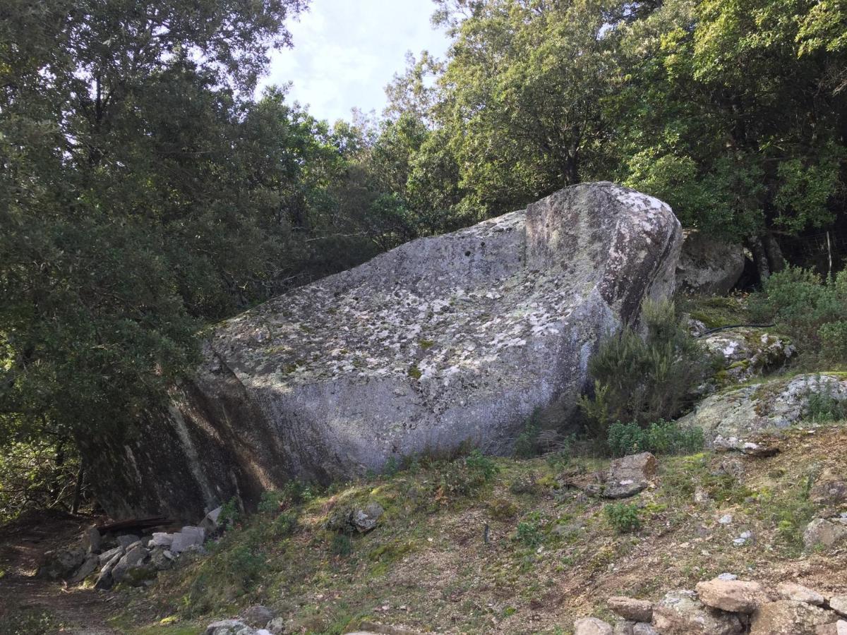 Suartone-di-Fium'Orbu, séjour nature entre mer et maquis Isolaccio-di-Fiumorbo Exterior foto